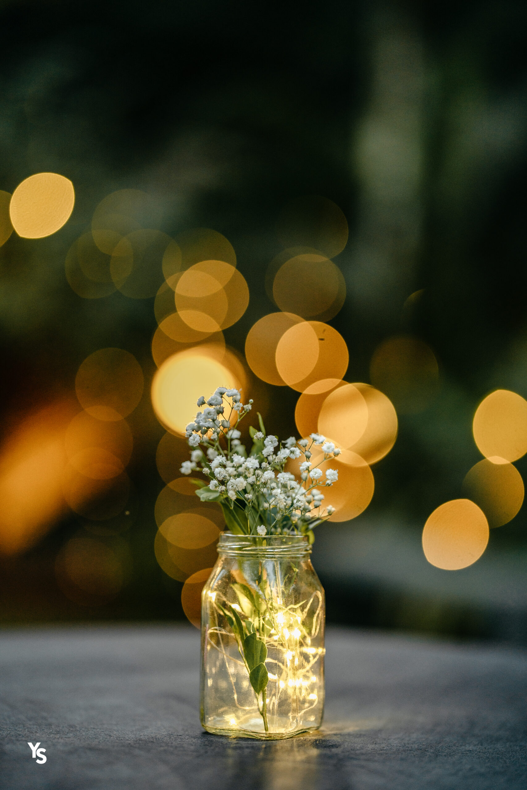wedding photography in Kerala wedding photography in Bangalore best wedding photography in kerala best wedding photography in Kochi wedding photography in kochi
